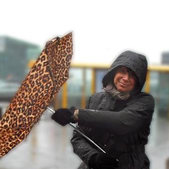 2014 10 luisa gemma umbrella in reykjavik1