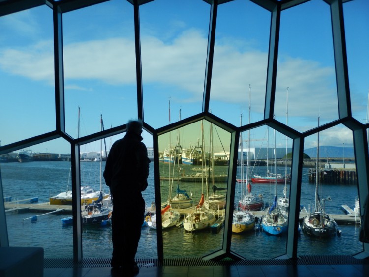 Harpa