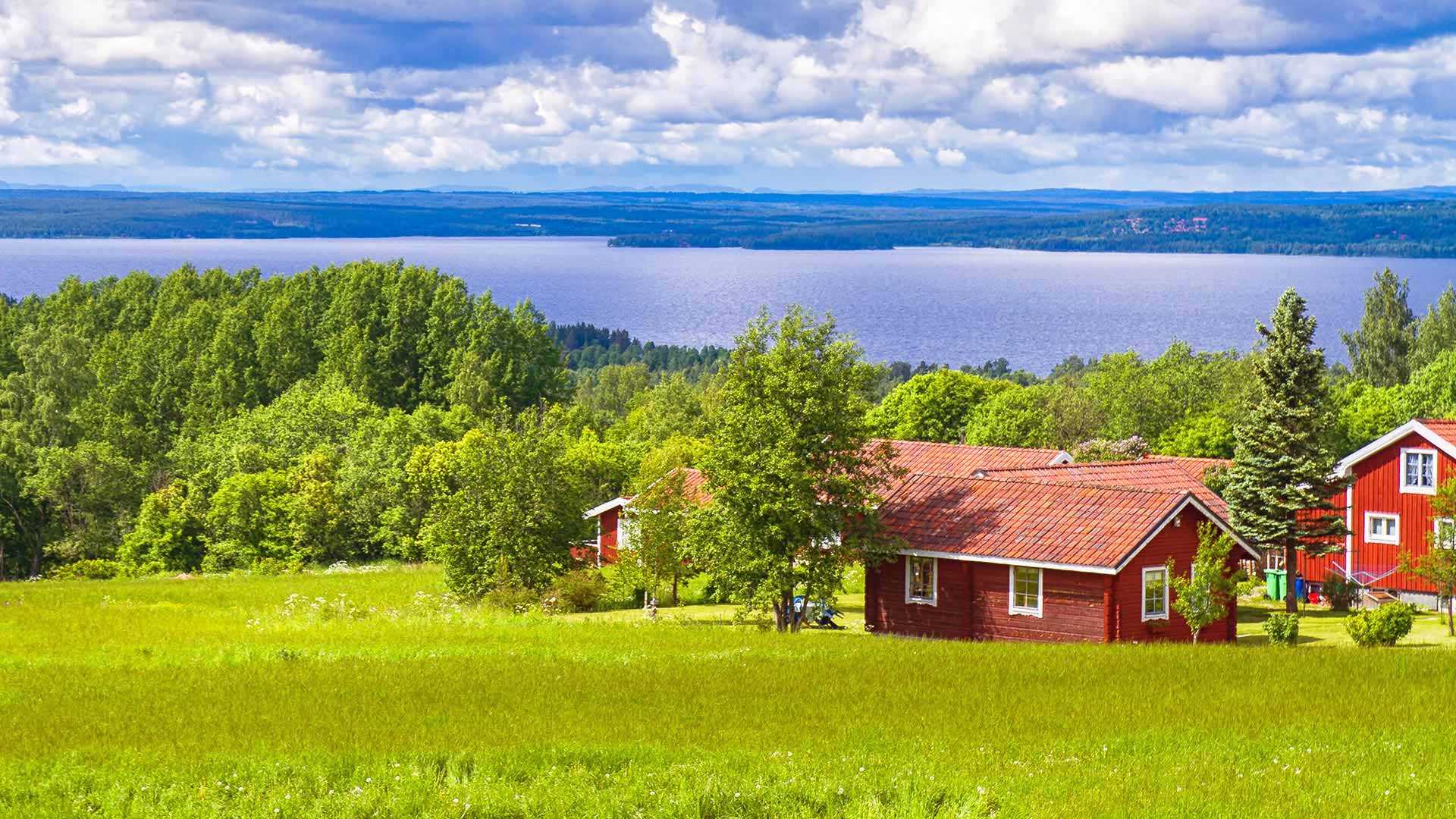 Countryside in Sweden in summer