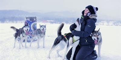 Huskies in Lapland?400x200;crop