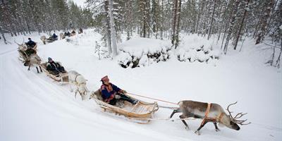 Reindeer Sleigh ride in Rovaniemi - ©Visitrovaniemi.fi