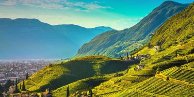 Vineyards in Trentino - Northern Italy?400x200;crop